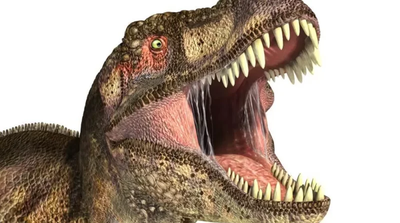 dinosaur has 500 teeth