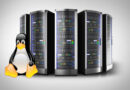 Reseller web hosting vs shared hosting which one is the best for you?