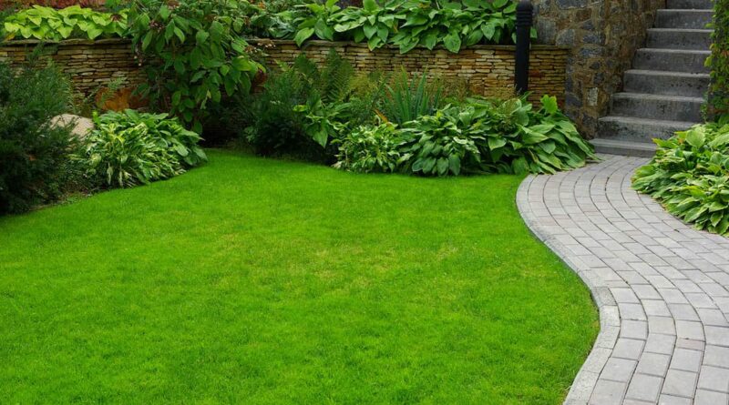Get The Best Number One Turf Supplier In Sydney