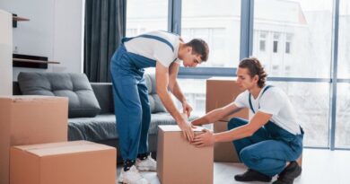 Hunt For High-caliber Packers And Movers In Dubai