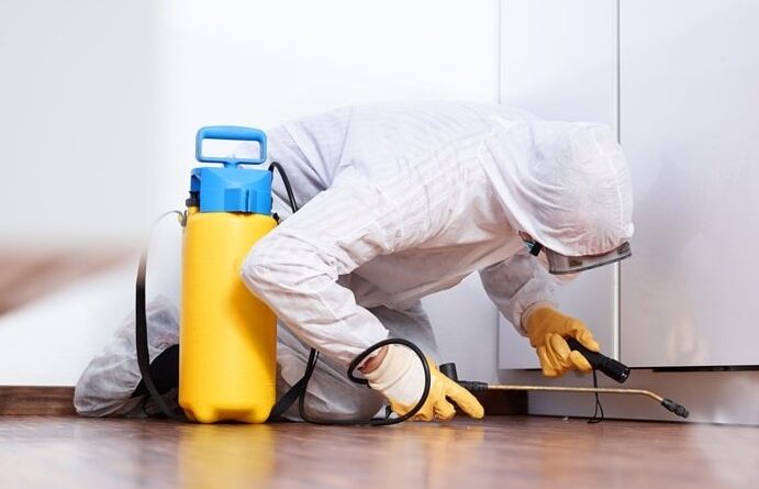 Some Easy Tips to Prevent Mice by professional pest control