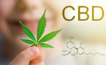 Close-up of a person holding a cannabis leaf with "CBD" text and chemical structure illustration in the background.