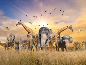 A stunning wildlife scene featuring elephants, giraffes, tigers, and birds against a vibrant sunset over golden grasslands.