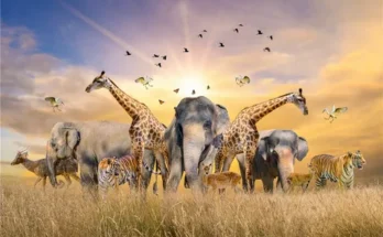 A stunning wildlife scene featuring elephants, giraffes, tigers, and birds against a vibrant sunset over golden grasslands.