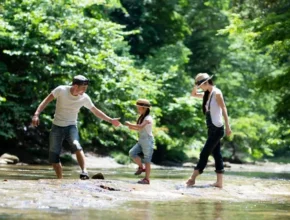 A family enjoys a sunny day by a river, wading through the water, with the father helping the daughter while the mother walks alongside.