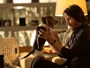 A person holds a beagle puppy in a cozy living room, surrounded by warm lighting and a pet carrier, creating an affectionate atmosphere.