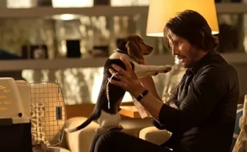 A person holds a beagle puppy in a cozy living room, surrounded by warm lighting and a pet carrier, creating an affectionate atmosphere.