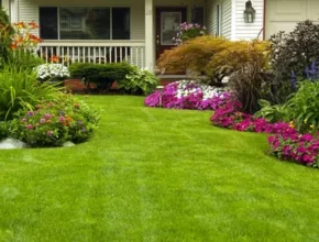 Lush green lawn leading to a charming house, surrounded by vibrant flowerbeds with colorful blooms and leafy plants.