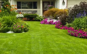 Lush green lawn leading to a charming house, surrounded by vibrant flowerbeds with colorful blooms and leafy plants.
