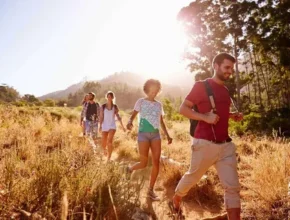 A group of four friends hiking through a sunlit, grassy trail with mountains in the background, enjoying a vibrant day outdoors.