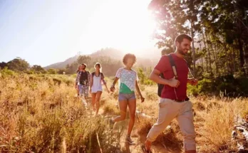 A group of four friends hiking through a sunlit, grassy trail with mountains in the background, enjoying a vibrant day outdoors.