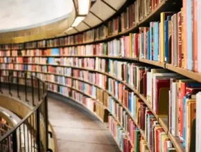 Curved shelves filled with colorful books in a modern library, bathed in warm light, creating an inviting reading atmosphere.