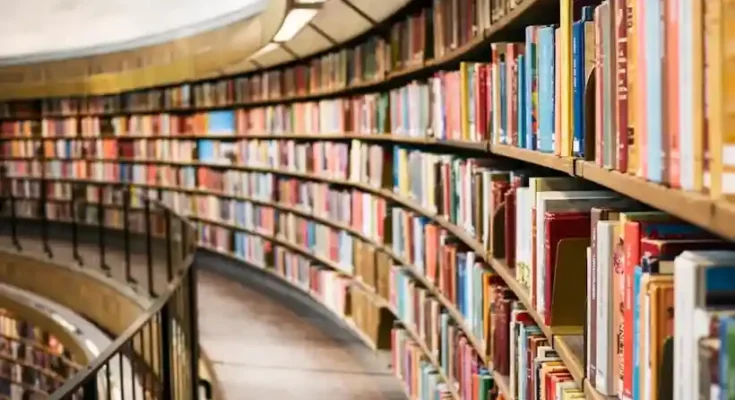 Curved shelves filled with colorful books in a modern library, bathed in warm light, creating an inviting reading atmosphere.