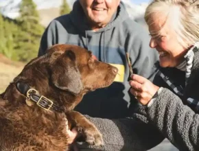 An elderly couple smiles as they interact with a brown Labrador, who eagerly awaits a treat held by a woman in a cozy sweater.