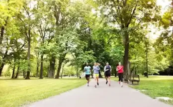 Four runners jog along a tree-lined path in a park, surrounded by vibrant greenery and dappled sunlight.