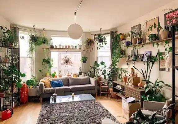 A cozy living room filled with lush plants, featuring a gray sofa, a glass coffee table, and bright natural light from large windows.