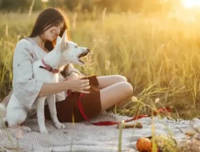 A woman sits on a blanket in a sunlit field, playfully interacting with her white dog, surrounded by tall grass and autumnal fruits.