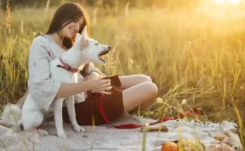 A woman sits on a blanket in a sunlit field, playfully interacting with her white dog, surrounded by tall grass and autumnal fruits.