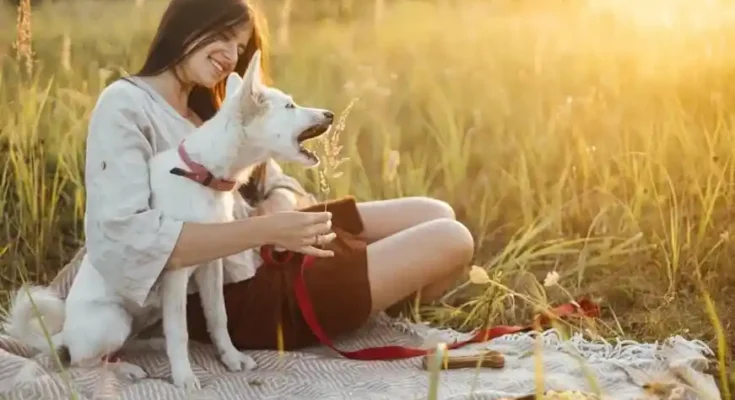 A woman sits on a blanket in a sunlit field, playfully interacting with her white dog, surrounded by tall grass and autumnal fruits.
